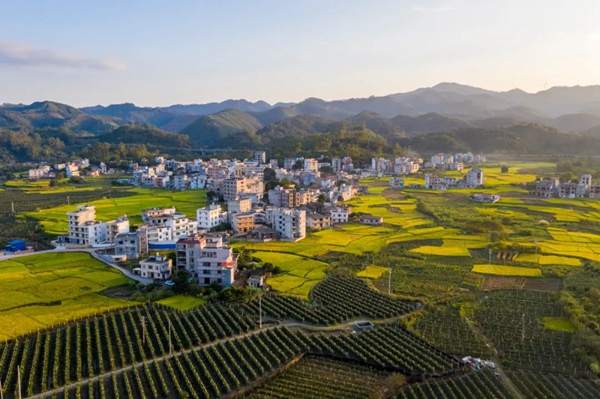 國家鄉村振興局2023年穩步推進鄉村建設