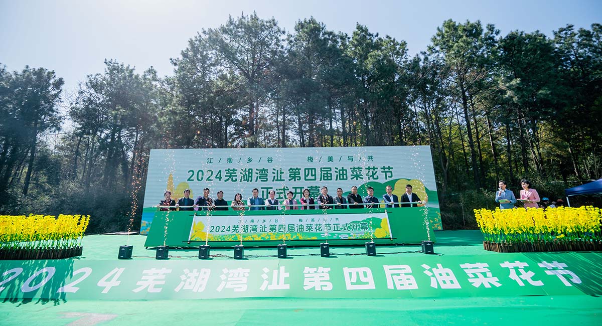 2024蕪湖灣沚第四屆油菜花節